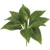 Tokyodo FG003960-zzz Artificial Flowers MAGIQ Fresh Hosta Leaf Bush, Green,