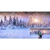 Caaerttply Winter Wonderland Forest Backdrops for Photography 20x10ft Freeze Snowflake