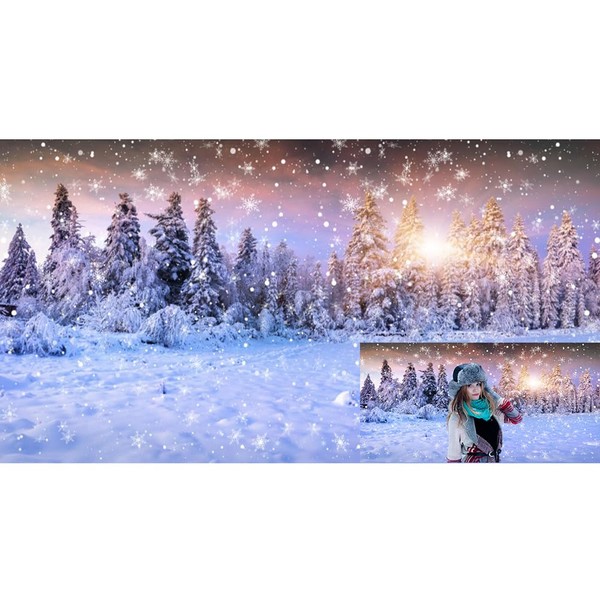 Caaerttply Winter Wonderland Forest Backdrops for Photography 20x10ft Freeze Snowflake