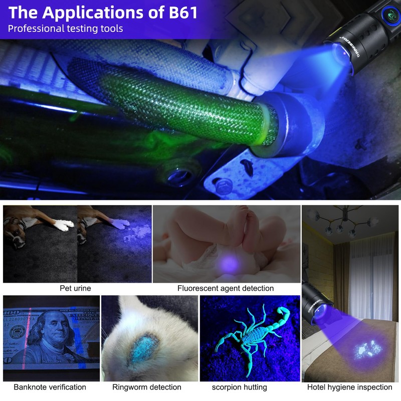 DARKBEAM UV 365nm Flashlight Black Light LED, Ultraviolet Flashlights, Powerful