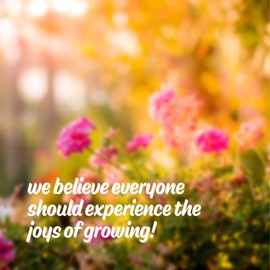 Organic Bouquet Flower Cutting Mix - 4 Oz ~24,000+ Seeds - 6 Varieties to Attract Butterflies, Bees, & Other Pollinators - Ideal Blooms That Last in Vases & Bouquets - Pollinator & Cut Flower Mix