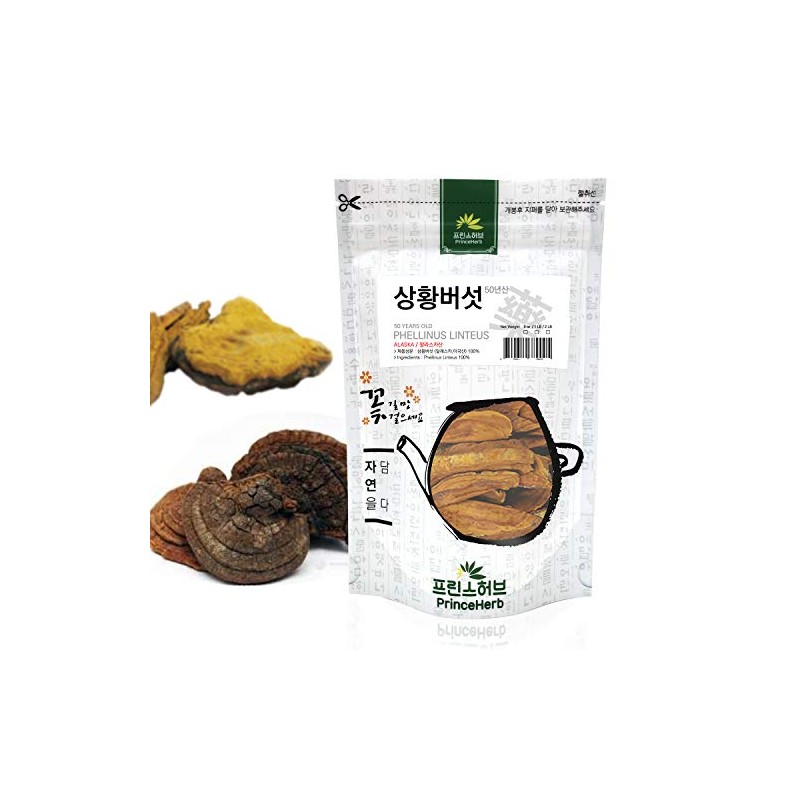 [Medicinal Herb] 100% Natural 50 Year Old Phellinus Linteus, Sanghwang