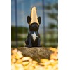 Frenchie Gnome - Black Frenchie Statue with Gold Hat |