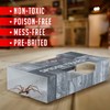 Spider Traps for Inside Your Home (16 Traps) - Spider