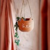 Sass & Belle Cat's Whiskers Terracotta Hanging Planter