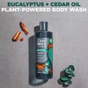 Dove Men+Care Body Wash Eucalyptus + Cedar Oil 4 Count