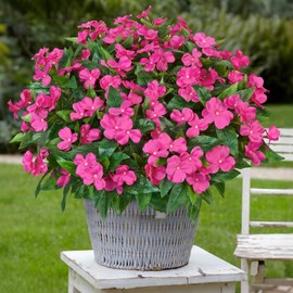 Besteek 5 Pcs Artificial Flowers for Outdoors Silk Impatiens Flowers Bouquet Decorations Fake Faux Plants UV Resistant for Spring Summer Garden Porch Patio Window Box Balcony Planters Home, Fuchsia