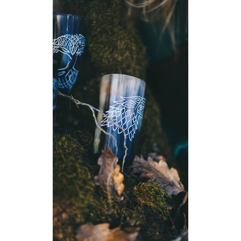 Hornerey Viking Horn Cup Set, Drinking Horn Set, Buffalo Horn,