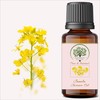 RADANYA Ayurveda RADANYA Ayurveda Canola Carrier Oil 100% Pure &