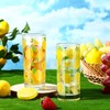 LemonRoad 6 Packs Lemon Pattern Highball Glasses 10 oz Tall