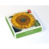 Museums & Galleries - 20 Notecards & Envelopes Boxed (Botanical