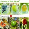 100Pcs Fruit Protection Bags 8x12 inch, White Fruit Net Bags,