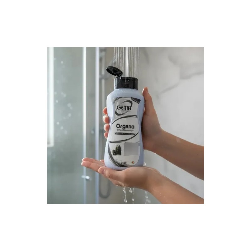 Shampoo Regeneración Capilar de Argán y Nogal Gema 900 ml