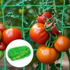 Trellis Net for Climbing Plants, 2 x 5 m, Plant