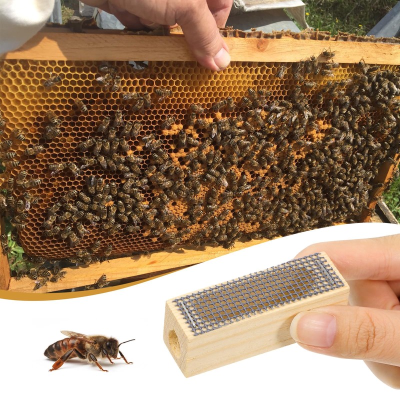 Handmade Natural Wood Queen Cages, 5 Pack Reusable Beekeeping Equipment