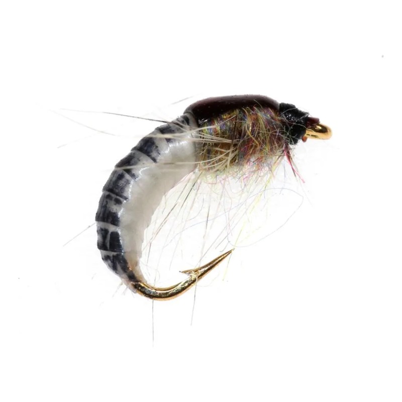 6 Unidades De Mosca Realista Nymph Scud Para Pesca Artificia