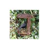 Wildlife world - Simon King Half Open Nesting Box