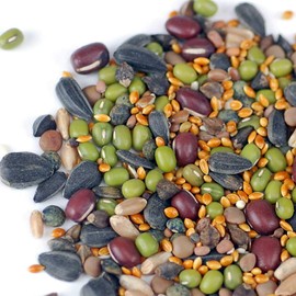 Handy Pantry Organic Birdseed - 5 Lb - Sprouting Bird Seed Mix for Small, Medium & Large Birds- Feed for Songbirds, Parakeets, Parrots, etc