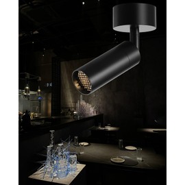 Gpaillumic Light Fixtures, Modern LED Ceiling Spotlight, 10W Zoom Track Spotlight, Adjustable Angle for Versatile Indoor Accent Lighting in Restaurant, Cafeterias, Corridors...