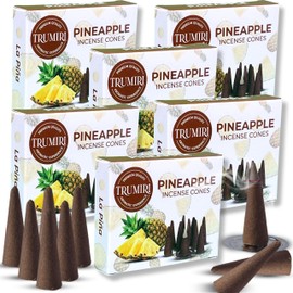 Pineapple Incense - 60 Cones, Six Packs of 10, Scented