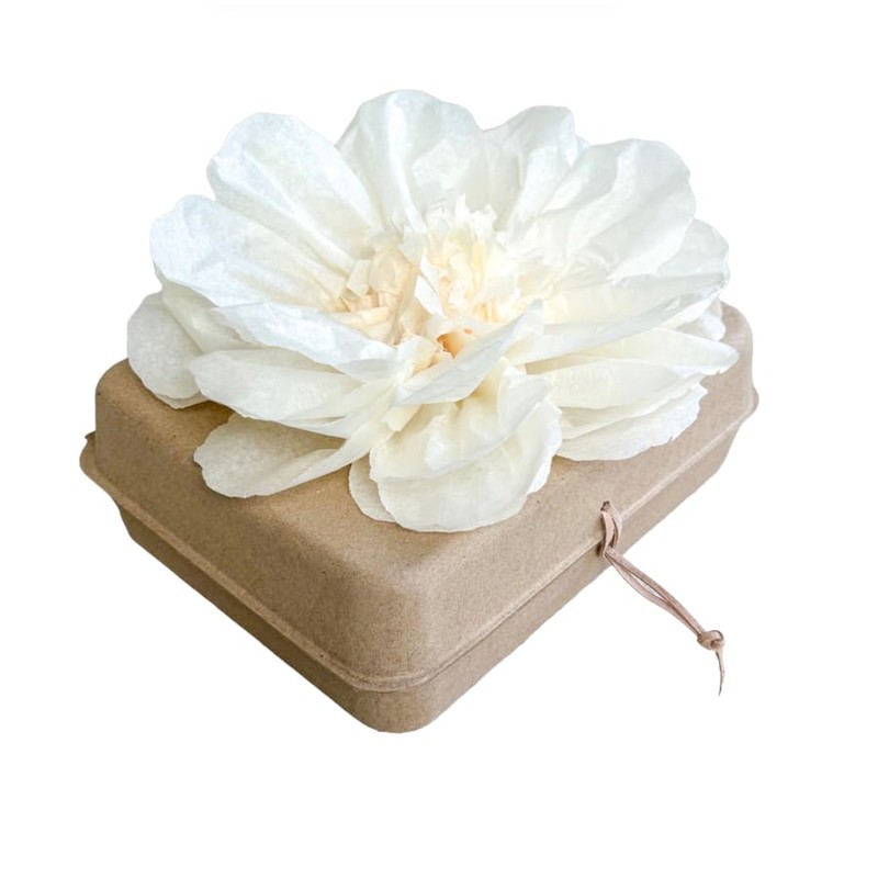 Biodegradable Water Burial Urn Kit - Cruise Approved | Ocean