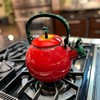 Whistling Tea Kettle for Stove Top Enamel on Steel Teakettle,