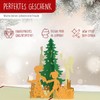LINPOPUP®, LIN17418 Pop Up 3D Card, Christmas Card, Greeting Card,
