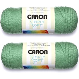Bulk Buy: Caron Simply Soft Yarn Solids (2-Pack) (Sage)