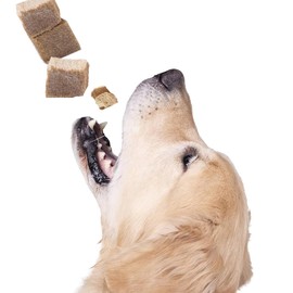 Freeze Dried Double Pack Dog & Cat Treats Food Topper Easy Chew & Digest (2 Packs) (2.0 oz Each, Just Duck)