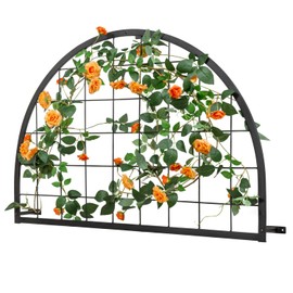 MyGift Wall Mounted Garden Trellis, Arch Shape Garden Support Trellis for Plantes and Farm Crops, Indoor Wall Hanging Support