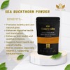  Sea Buckthorn Berries Powder | 100 Gram/3.5 Oz |