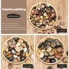 FAHAXIKI 10 lbs River Rocks Pebbles 1-2 Inch Polished Decorative