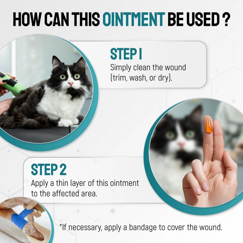 Silver Wound Care Ointment for Dog & Cat Skin Relief