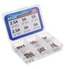 BOJACK Christmas Light Fuses Fast-Blow Glass Fuses Assortment Kit 3.6x10mm