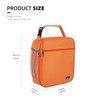 Lunch box Lunch bag for men women Insulated Lunchbox Lunch