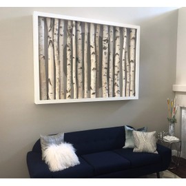 Wilson White Birch Pole Pack (Large) Set of 3 White Birch Poles: 1.5-2.5 inch Diameter x 5, 6, and 7 feet Long