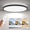 BLNAN LED Flush Mount Ceiling Light with Remote Control, 12