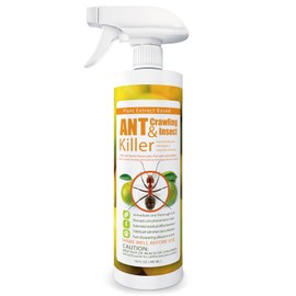 EcoVenger Ant Killer & Crawling Insect Killer (Citrus Scent) 16 oz, Kills Fast in Minutes, Also Kills Spiders, Centipedes & More, Repels with Residual, Natural & Non-Toxic, Safe for Children & Pets