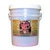 Cobra Heavy Duty Floor Tile & Grout Cleaner - Nothing Stronger!-5 Gallon Pail