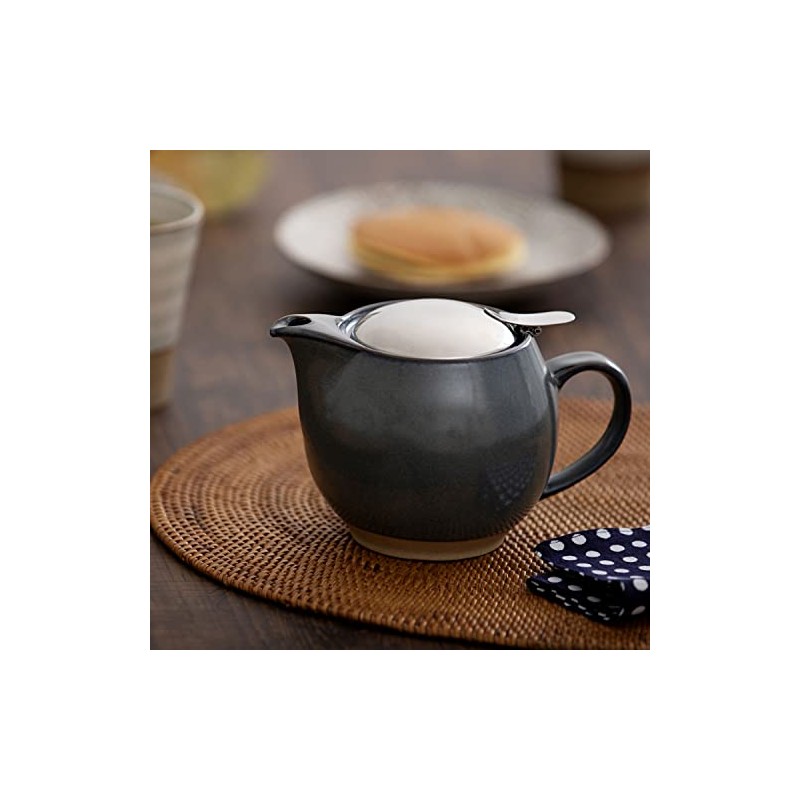 ZERO JAPAN BBN-02 SGR Teapot, Universal Teapot, 15.2 fl oz