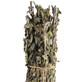 Wild Greek Sage Herbal Tea Whole Bundle Premium Quality Salvia Triloba (220 grams)