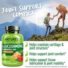 NATURELO Glucosamine Chondroitin MSM with Boswellia and Vitamin C -