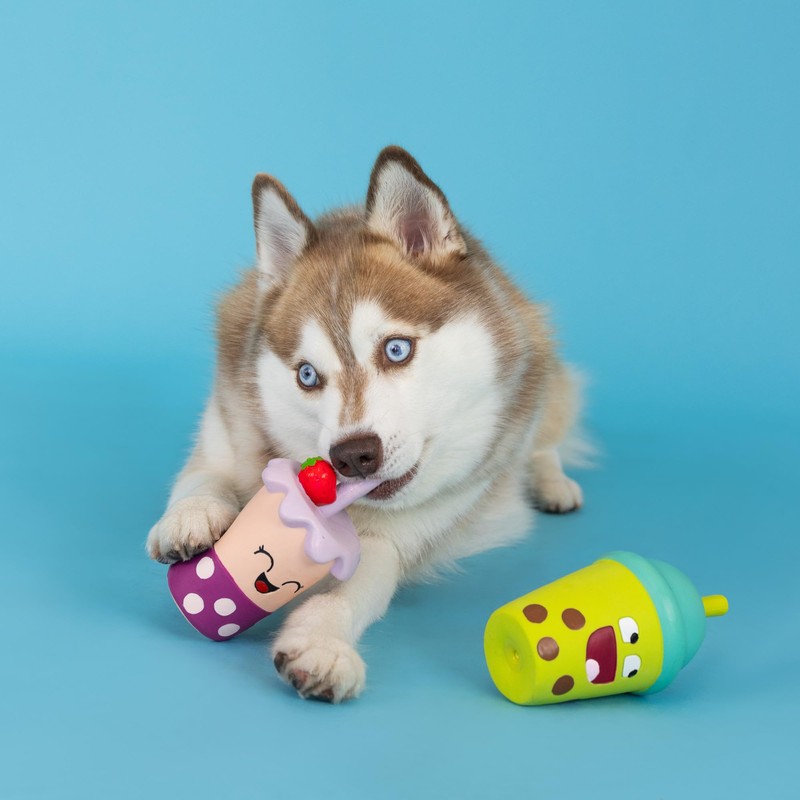 Fringe Studio Dog Toy Set, Best-Teas, 2Pc Mini, Latex, Pet