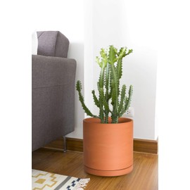 D'vine Dev Large 10 Inch Terracotta Plant Pot with Drainage Hole and Saucer, Round Cylinder Planter Pot for Indoor Plants, 40-X-A-5