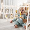 Play Arch Baby Toy from 0 Months 4 Pieces Play