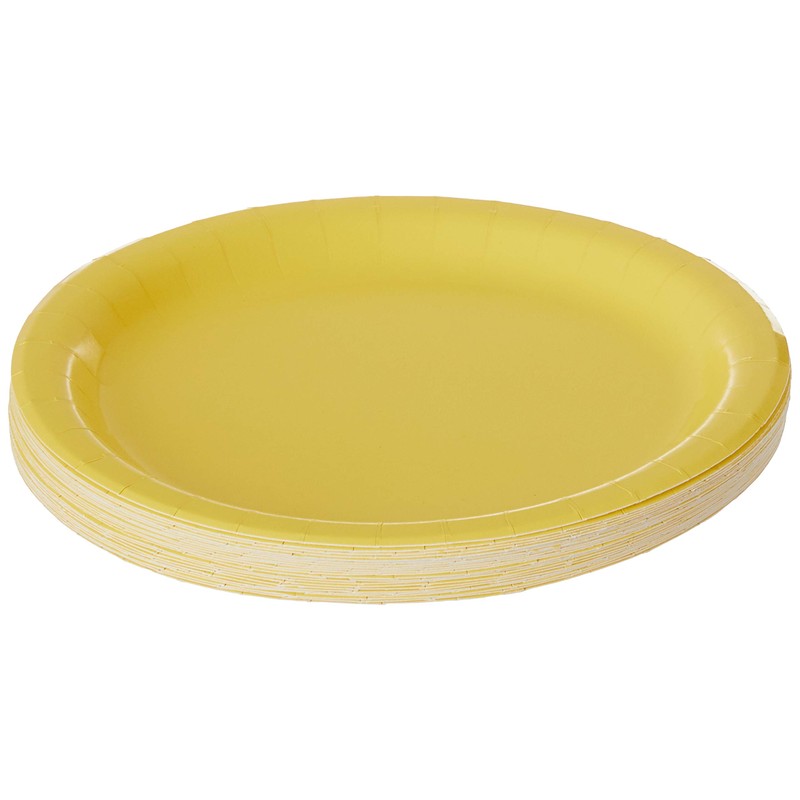 Creative Converting Touch of Color 24 Count Paper Dessert Plates,