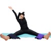 HealthAndYoga(TM) Yoga Sand Bags - Double Bag with Inner Waterproof