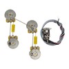 Mojotone Pre-Wired Les Paul Guitar Wiring Harness (Long Shaft)