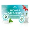 Shower Steamers Aromatherapy, Eucalyptus Mint Shower Bombs, Birthday Gifts for