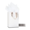 White Small Gift Bags with Tissue Paper, YACEYACE 10Pcs 5.25"x3.75"x8"